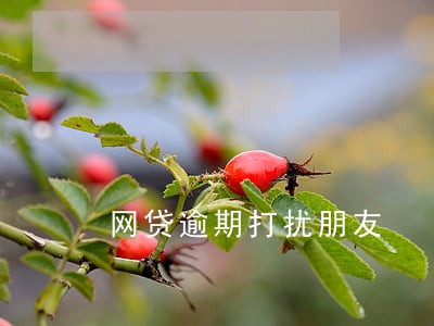 网贷逾期打扰朋友 网贷逾期打扰朋友