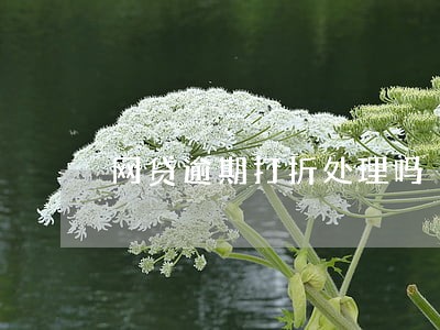 网贷逾期打折处理吗 网贷逾期打折处理吗