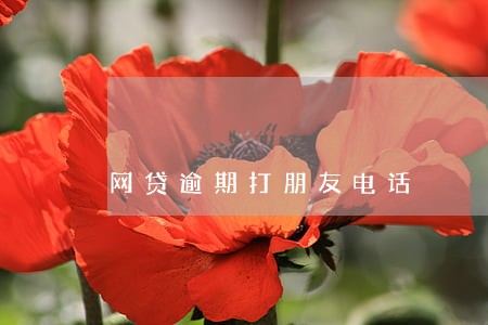 网贷逾期打朋友电话 网贷逾期打朋友电话