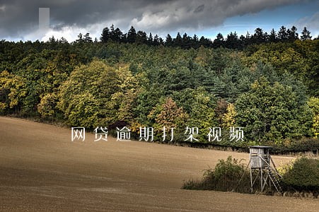 网贷逾期打架视频 网贷逾期打架视频
