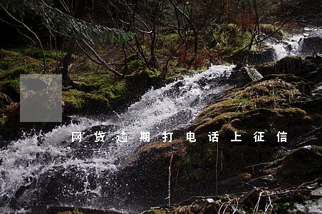 网贷逾期打电话上征信 网贷逾期打电话上征信