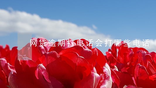 网贷逾期打电话会打哪些电话