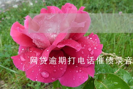 网贷逾期打电话催债录音 网贷逾期打电话催债录音