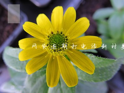 网贷逾期打电话到村委会怎么样 网贷逾期打电话到村委会怎么样