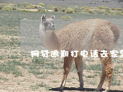 网贷逾期打电话去家里 网贷逾期打电话去家里