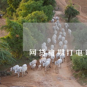 网贷逾期打电话寄东西 网贷逾期打电话寄东西