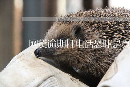 网贷逾期打电话恐吓是真的吗 网贷逾期打电话恐吓是真的吗