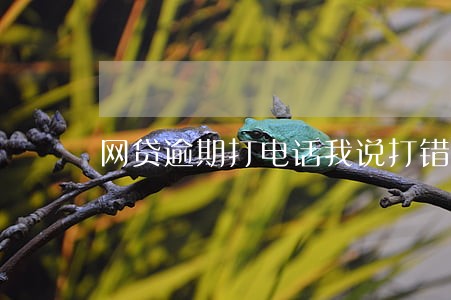 网贷逾期打电话我说打错了 网贷逾期打电话我说打错了