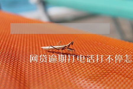 网贷逾期打电话打不停怎么办
