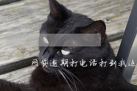 网贷逾期打电话打到我这里怎么办 网贷逾期打电话打到我这里怎么办