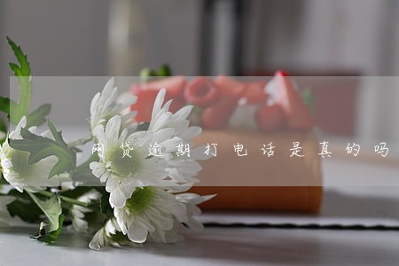 网贷逾期打电话是真的吗