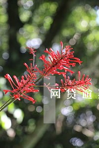 网贷逾期打电话是给通讯录 网贷逾期打电话是给通讯录