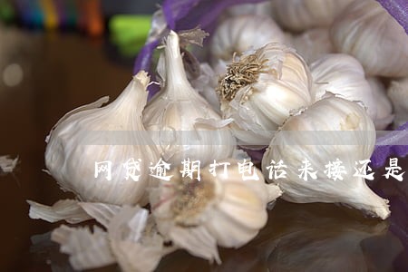 网贷逾期打电话来接还是不接 网贷逾期打电话来接还是不接