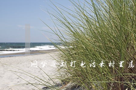 网贷逾期打电话来村里属于违法吗 网贷逾期打电话来村里属于违法吗