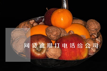 网贷逾期打电话给公司 网贷逾期打电话给公司