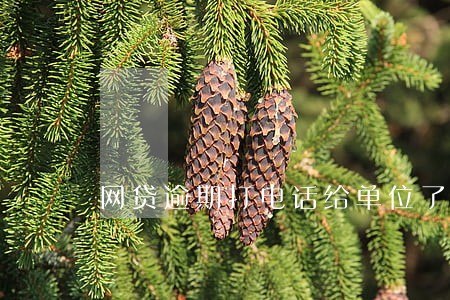 网贷逾期打电话给单位了 网贷逾期打电话给单位了