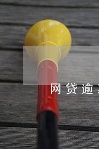 网贷逾期打电话给单位怎么办 网贷逾期打电话给单位怎么办
