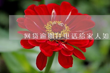 网贷逾期打电话给家人如何处理 网贷逾期打电话给家人如何处理