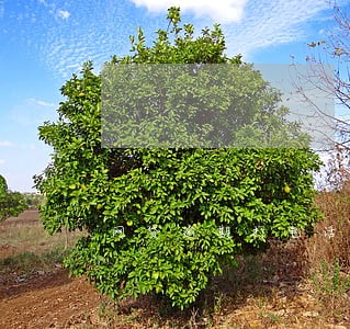 网贷逾期打电话给家属违法吗 网贷逾期打电话给家属违法吗