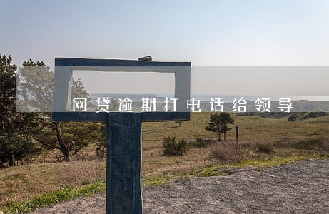 网贷逾期打电话给领导