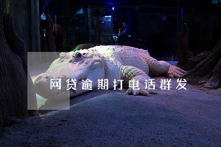 网贷逾期打电话群发 网贷逾期打电话群发