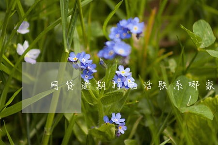 网贷逾期打电话联系哪家银行
