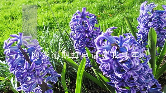 网贷逾期打电话让我坐牢 网贷逾期打电话让我坐牢