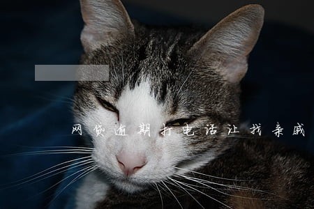 网贷逾期打电话让找亲戚借钱 网贷逾期打电话让找亲戚借钱