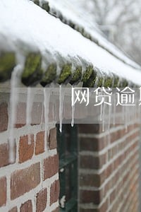 网贷逾期打电话诉前调解是真的么