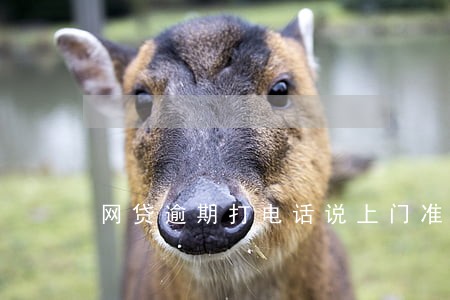 网贷逾期打电话说上门准备好钱 网贷逾期打电话说上门准备好钱