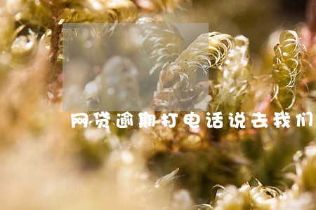 网贷逾期打电话说去我们村委会 网贷逾期打电话说去我们村委会