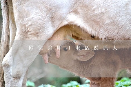 网贷逾期打电话说抓人