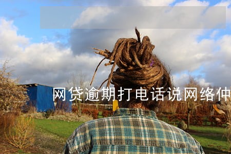 网贷逾期打电话说网络仲裁我 网贷逾期打电话说网络仲裁我
