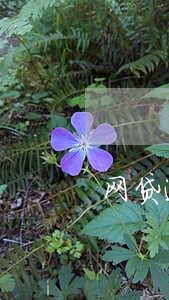 网贷逾期打电话说要上门 网贷逾期打电话说要上门