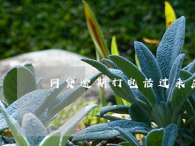 网贷逾期打电话过来应该怎么说 网贷逾期打电话过来应该怎么说