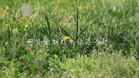 网贷逾期打电话还不起