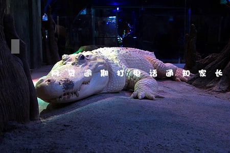 网贷逾期打电话通知家长合法吗 网贷逾期打电话通知家长合法吗