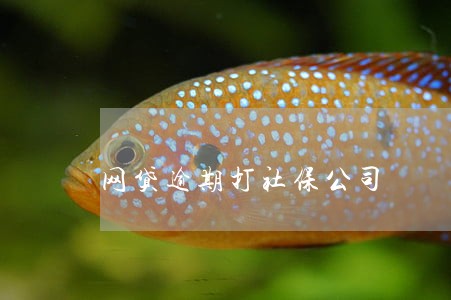 网贷逾期打社保公司 网贷逾期打社保公司