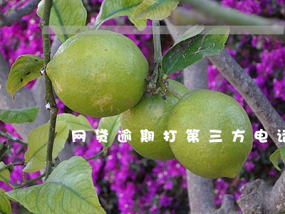 网贷逾期打第三方电话 网贷逾期打第三方电话