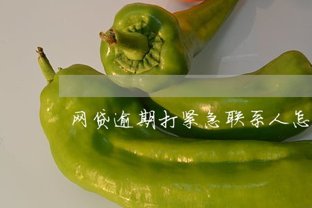 网贷逾期打紧急联系人怎么办 网贷逾期打紧急联系人怎么办