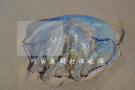 网贷逾期打谁电话 网贷逾期打谁电话