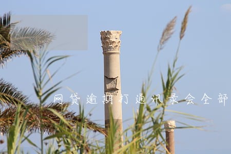 网贷逾期打通讯录会全部打吗 网贷逾期打通讯录会全部打吗