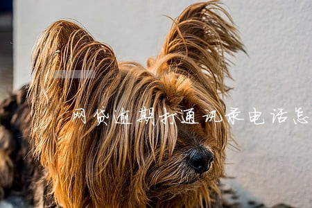 网贷逾期打通讯录电话怎么办 网贷逾期打通讯录电话怎么办