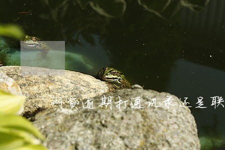网贷逾期打通讯录还是联系人 网贷逾期打通讯录还是联系人