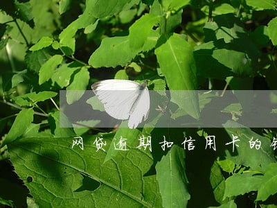 网贷逾期扣信用卡的钱 网贷逾期扣信用卡的钱