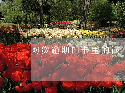 网贷逾期扣卡里的钱 网贷逾期扣卡里的钱
