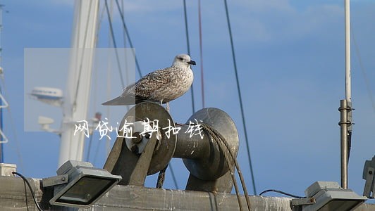网贷逾期扣钱 网贷逾期扣钱
