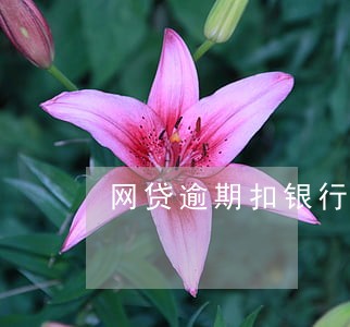 网贷逾期扣银行卡的钱犯法吗 网贷逾期扣银行卡的钱犯法吗