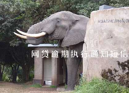 网贷逾期执行通知短信