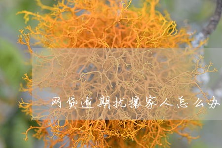 网贷逾期扰攘家人怎么办 网贷逾期扰攘家人怎么办